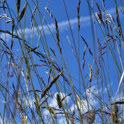 2019-08 Savoie/La Tuile/DSC_1576.JPG